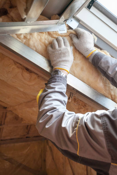 Best Attic Insulation Installation  in Stuttgt, AR