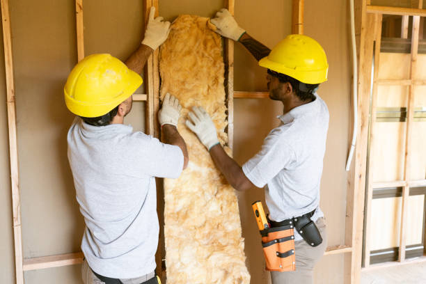 Best Attic Insulation Installation  in Stuttgt, AR